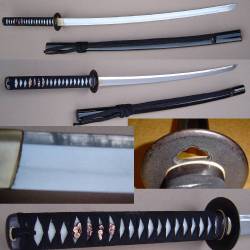 Paul Chen Practical Katana